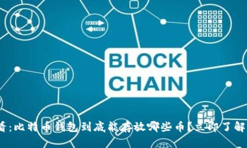 2025必看：比特币钱包到底能存放哪些币？立即了解你的选择