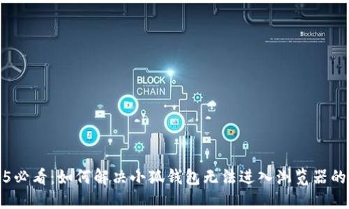 2025必看：如何解决小狐钱包无法进入浏览器的问题