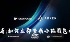 2025必看：如何立即查找小