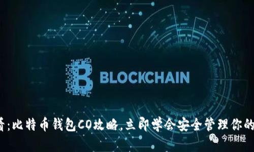 2025必看：比特币钱包CO攻略，立即学会安全管理你的数字资产