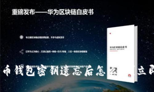 2025必看：比特币钱包密钥遗忘后怎么办？立即查看解决方案！