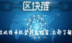 2025必看：最佳比特币现金