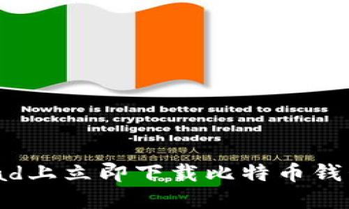2025必看：如何在iPad上立即下载比特币钱包，掌握数字货币未来