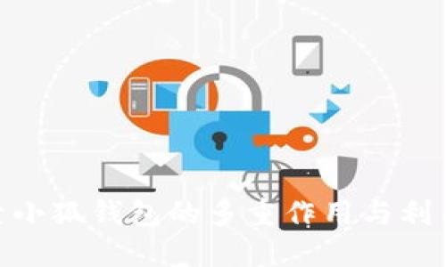 : 探索小狐钱包的多重作用与利用价值