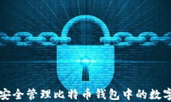 如何安全管理比特币钱包
