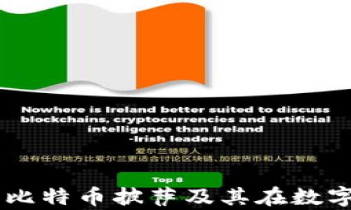 
全面解析BPA、比特币披萨及其在数字钱包中的应用