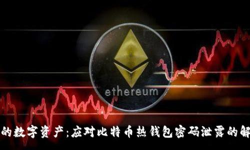 : 
保护你的数字资产：应对比特币热钱包密码泄露的解决方案