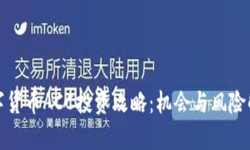 数字货币ACC投资攻略：机会与风险解析