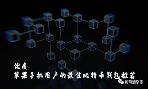 优质  
苹果手机用户的最佳比特币钱包推荐