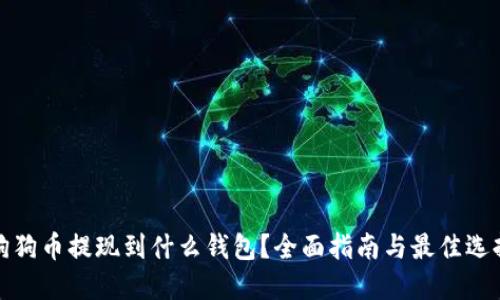 狗狗币提现到什么钱包？全面指南与最佳选择