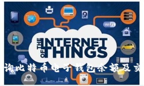 如何查询比特币电子钱包余额及交易记录