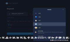 如何在小狐狸钱包中添加USDT：详细步骤与技巧