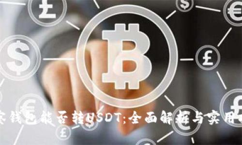 观察钱包能否转USDT：全面解析与实用指南
